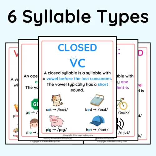 6 Syllable Types Anchor Charts