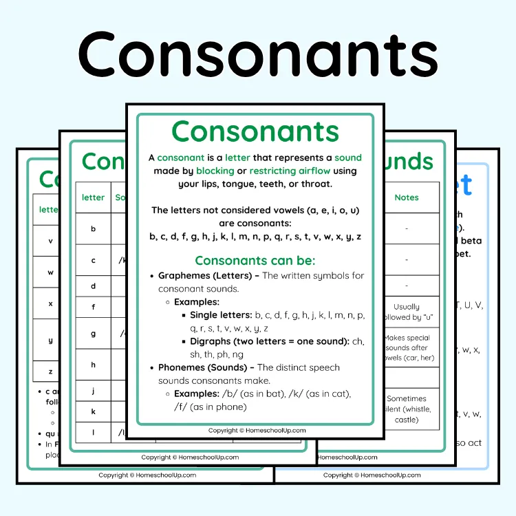 Consonants and Consonant Sounds Printables Consonants and Consonant Sounds Printables