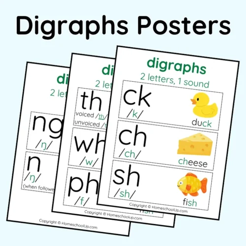Digraphs Posters