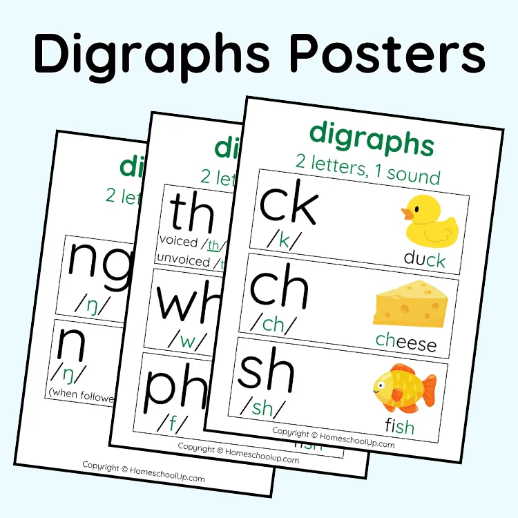 Digraphs Posters Digraphs Posters