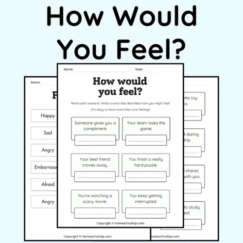 How Would You Feel SEL