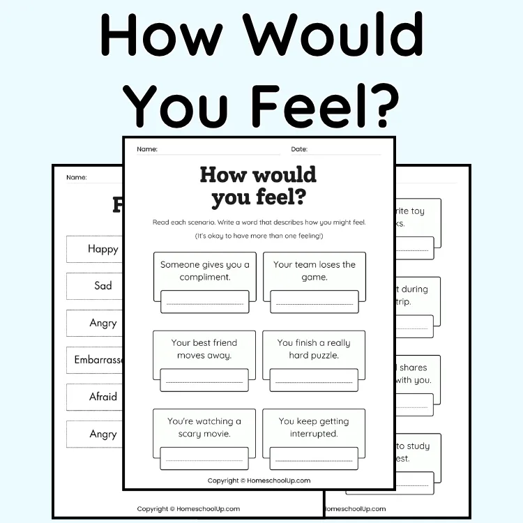 How Would You Feel SEL How Would You Feel SEL