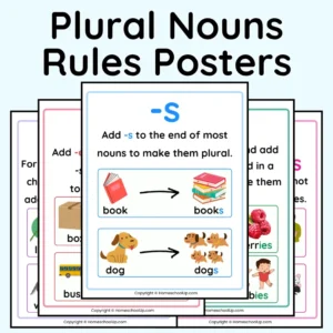 Plural Nouns Rules Posters Plural Nouns Rules Posters
