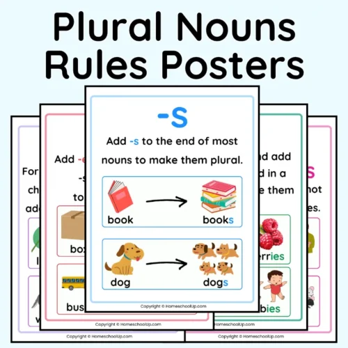 Plural Nouns Rules Posters
