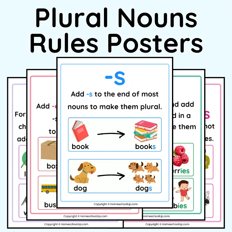Plural Nouns Rules Posters Plural Nouns Rules Posters