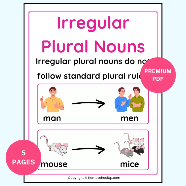 Poster Irregular Plural Nouns Poster Irregular Plural Nouns