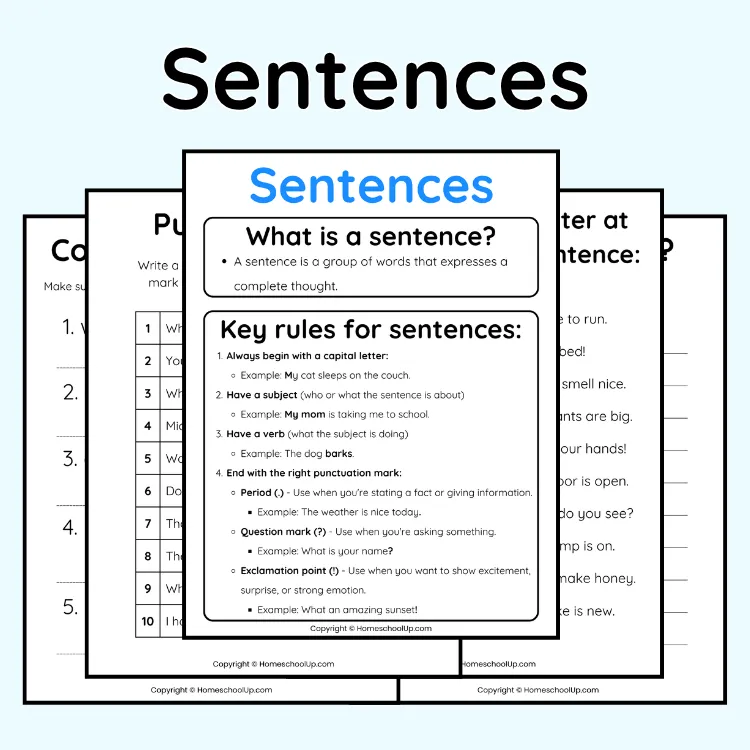 Sentences Worksheets Anchor Chart Sentences Worksheets Anchor Chart