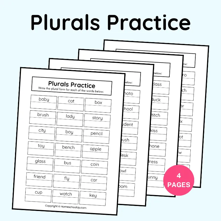 Plurals Practice Plurals Practice
